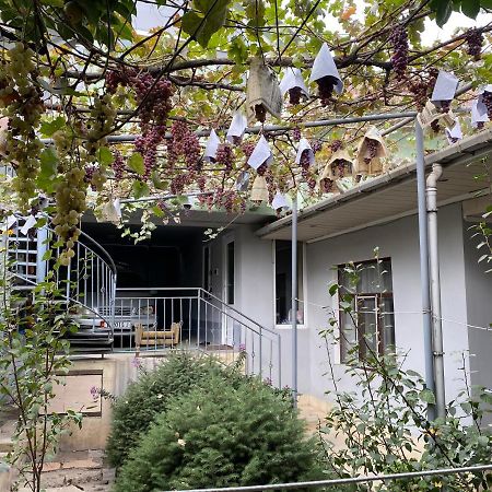 Guest House Vip オシ エクステリア 写真