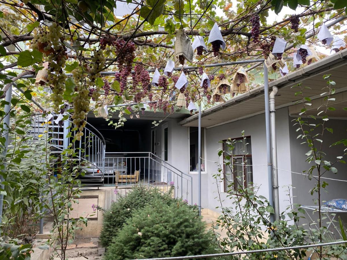 Guest House Vip オシ エクステリア 写真